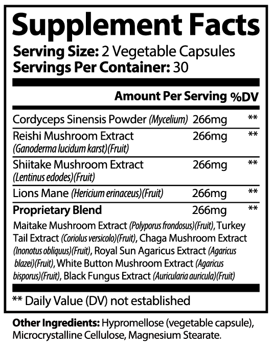 Neuroboost Mushroom